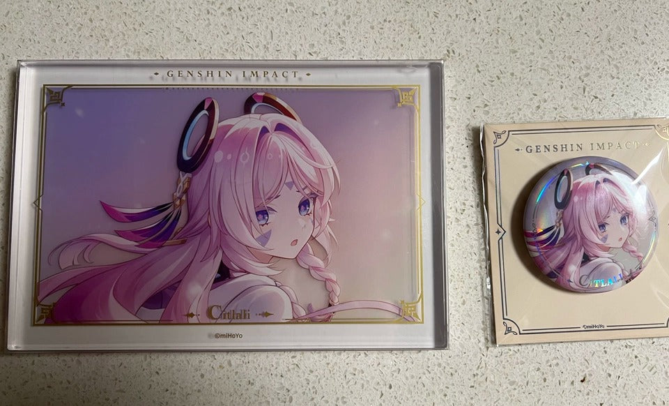 Genshin Impact Acrylic PV Series Framed Artwork Display
