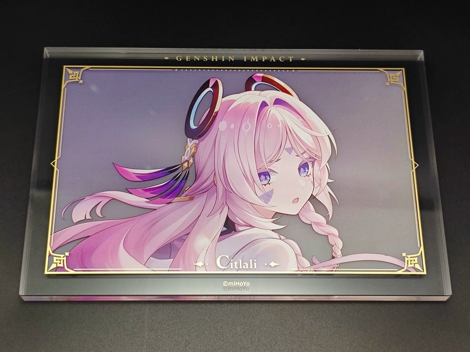 Genshin Impact Acrylic PV Series Framed Artwork Display