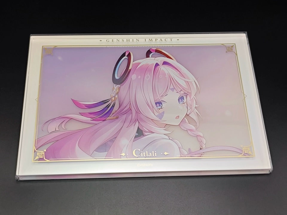 Genshin Impact Acrylic PV Series Framed Artwork Display