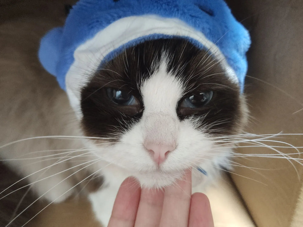 Genshin Impact Teyvat Zoo Plush Headwear
