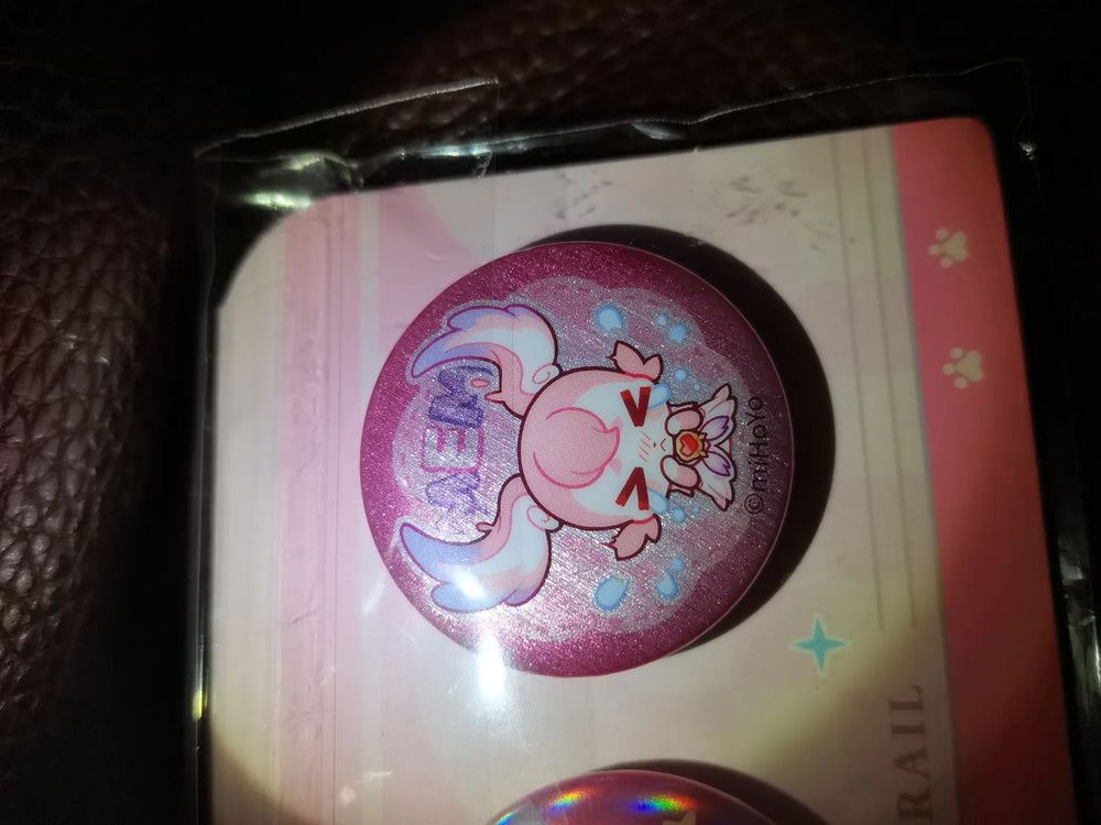 Honkai: Star Rail Pom-Pom Gallery Series Mini Tinplate Badge Set