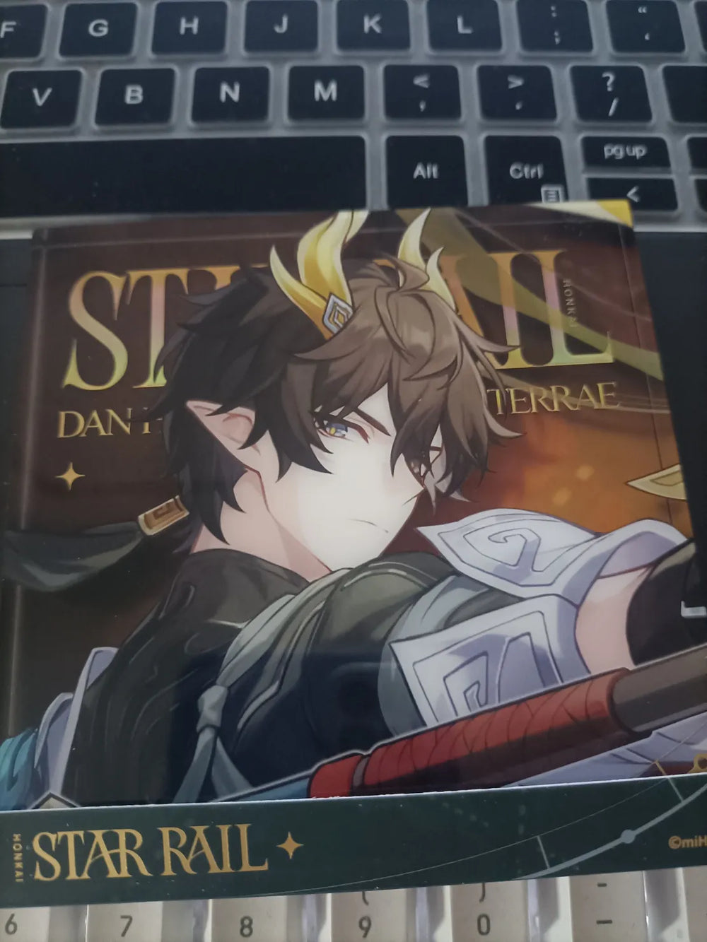 Honkai: Star Rail Starry Invitation Series Acryl-Displayblöcke
