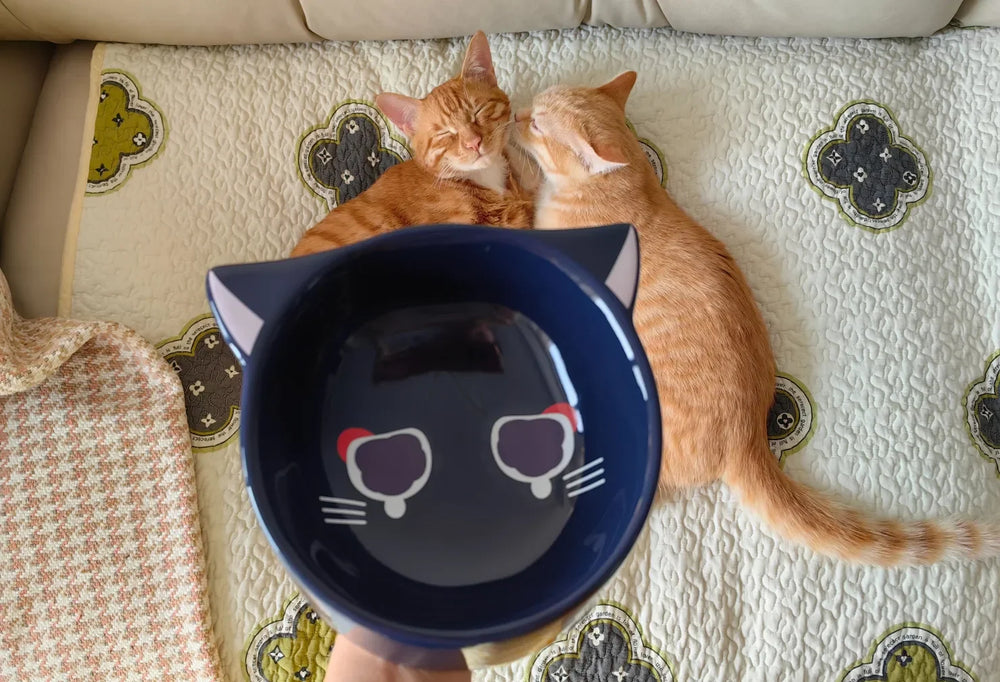 Genshin Impact Fairytale Cat Series Ceramic Pet Bowl – Lyney