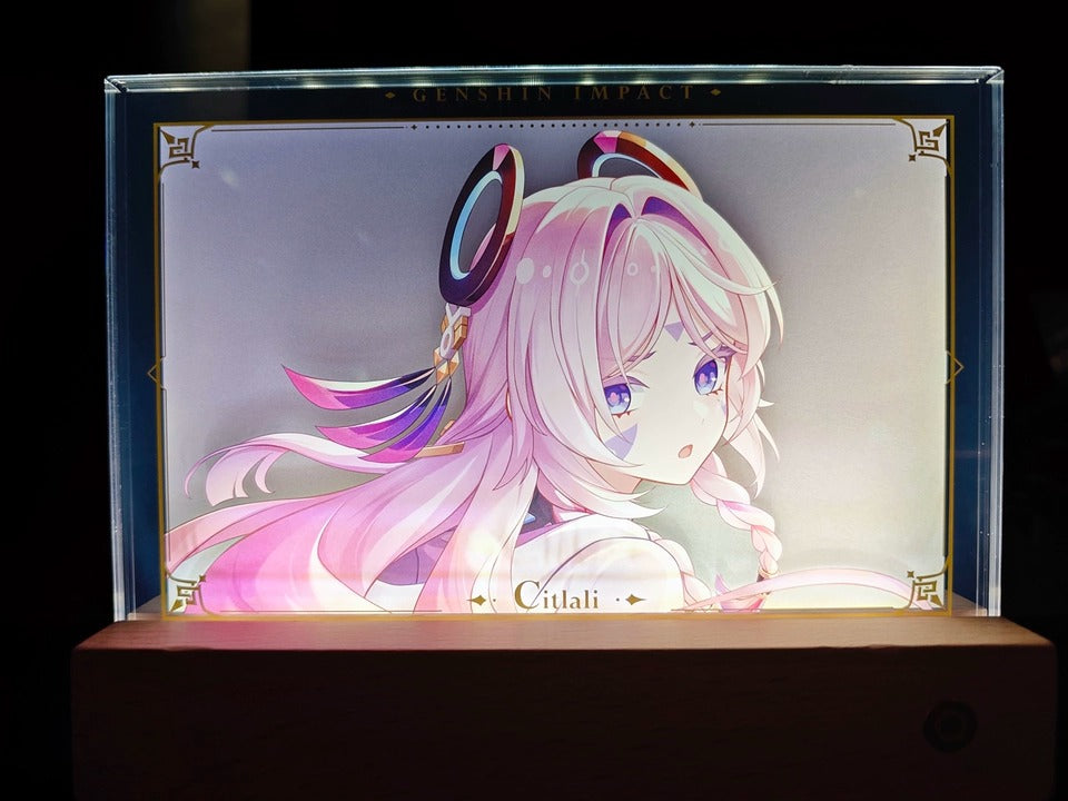 Genshin Impact Acrylic PV Series Framed Artwork Display