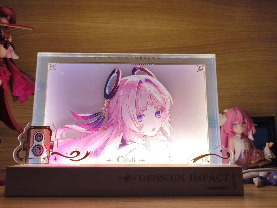 Genshin Impact Acrylic PV Series Framed Artwork Display
