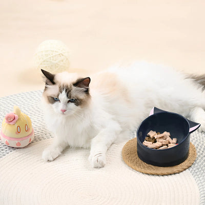 Lyney ceramic pet bowl tilted design 15 degree feeding angle cat bowl detail
