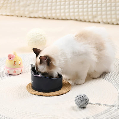 Lyney ceramic pet bowl side view stable base cat feeding bowl design