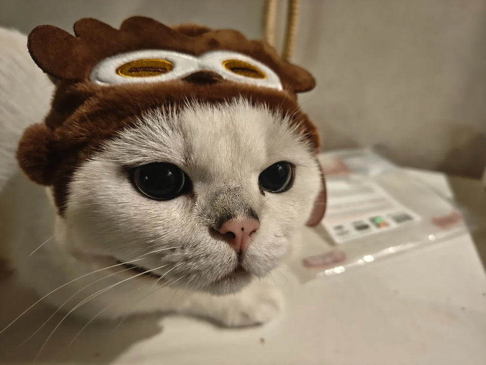 Genshin Impact Teyvat Zoo Plush Headwear