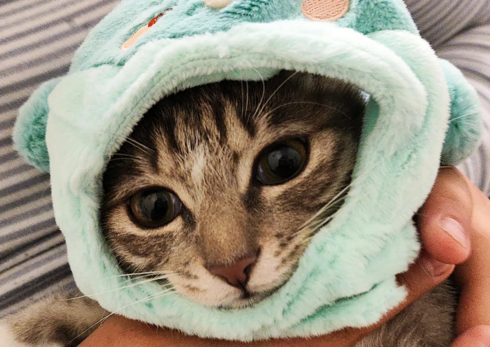 Genshin Impact Teyvat Zoo Plush Headwear