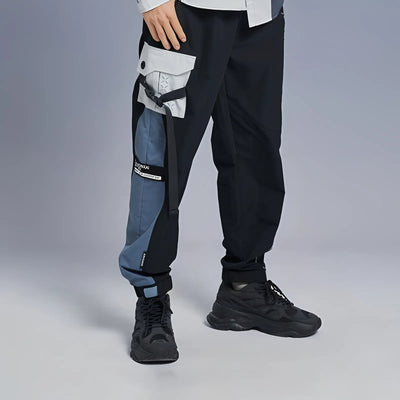 Honkai Impact 3 Bronya Silverwing tactical pants full view anime cargo pants techwear style