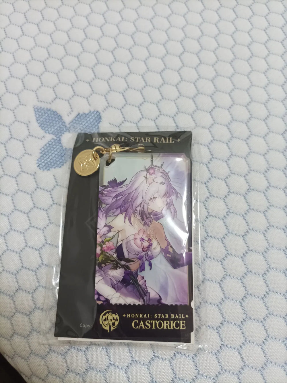 Honkai: Star Rail Character Artwork Series Remembrance Colgantes acrílicos