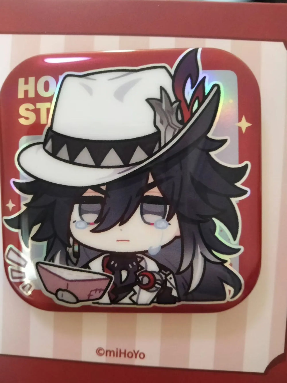 Honkai: Star Rail Pom-Pom Gallery Series Insignias Cuadradas