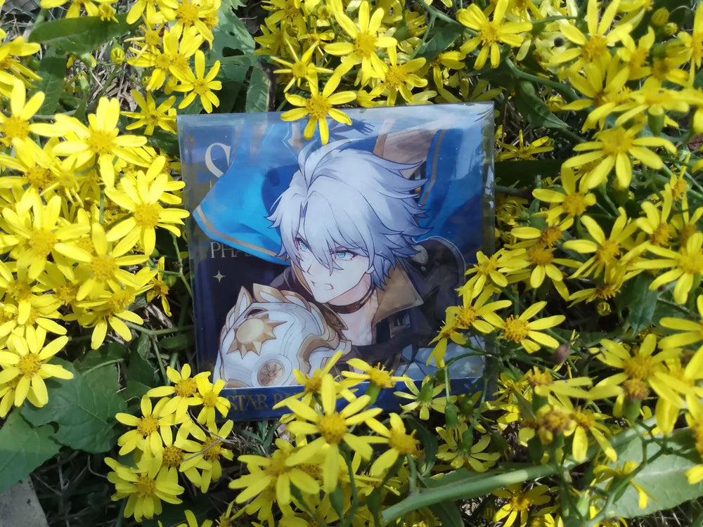 Honkai: Star Rail Starry Invitation Series Acryl-Displayblöcke