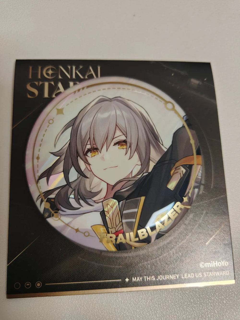 Honkai: Star Rail Character Artwork Series Badges en Fer-Blanc Elation