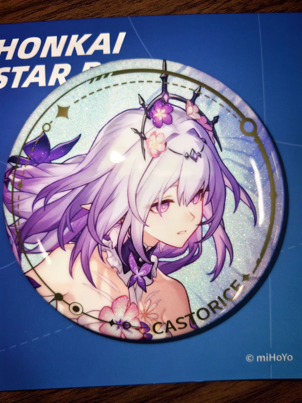 Honkai: Star Rail Character Artwork Series Badges en Fer-Blanc Remembrance