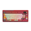 Glacier Pink Switch (Early Linear)